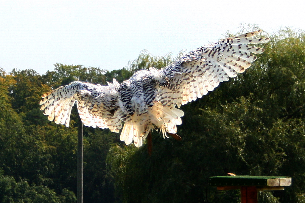 20110821_IMG_6405_red2